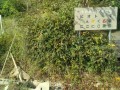 IMG_20251002_085642