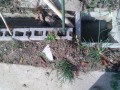 IMG_20251002_085648