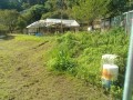 IMG_20251002_085719