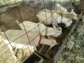 IMG_20251002_090006