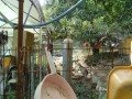 IMG_20251002_090012