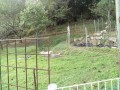 IMG_20251002_090059