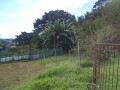 IMG_20251002_090102