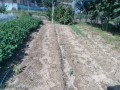 IMG_20251002_093256
