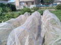 IMG_20251002_093302
