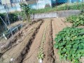 IMG_20251002_093330