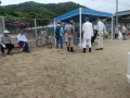 IMG_20251003_082733