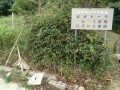IMG_20251003_092816