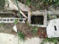 IMG_20251003_092822