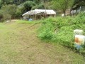 IMG_20251003_092850