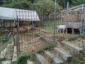 IMG_20251003_092929
