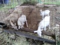 IMG_20251003_093056