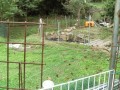 IMG_20251003_093126