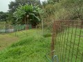 IMG_20251003_093129