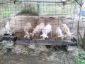 IMG_20251003_093318