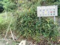 IMG_20251004_100402