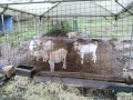 IMG_20251004_100610