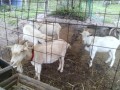 IMG_20251004_100620