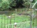IMG_20251004_100655