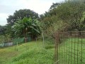 IMG_20251004_100658