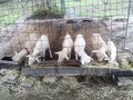 IMG_20251004_100952