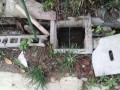 IMG_20251005_161151