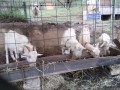 IMG_20251005_163136