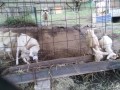 IMG_20251005_163142