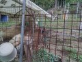 IMG_20251005_163202