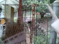 IMG_20251005_163226