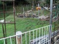 IMG_20251005_163244