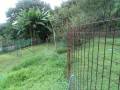 IMG_20251005_163246