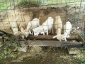 IMG_20251006_091617