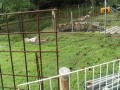 IMG_20251006_091706