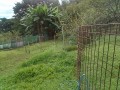 IMG_20251006_091709