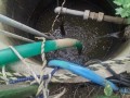IMG_20251006_092232