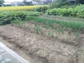 IMG_20251006_113015