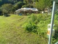 IMG_20251007_085146