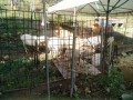 IMG_20251007_085452