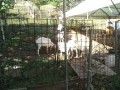 IMG_20251007_085508
