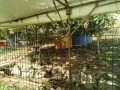 IMG_20251007_085511