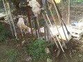 IMG_20251007_100059
