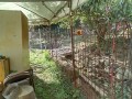 IMG_20251007_100139