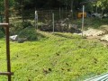 IMG_20251007_100154