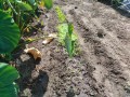 IMG_20251007_104330