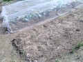 IMG_20251007_104350