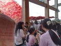 IMG_20251008_124108