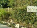 IMG_20251009_082007