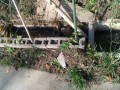 IMG_20251009_082012