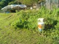 IMG_20251009_082308